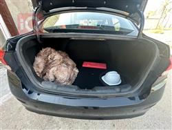 شانجان السفن